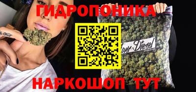 Альфа ПВП Гусев