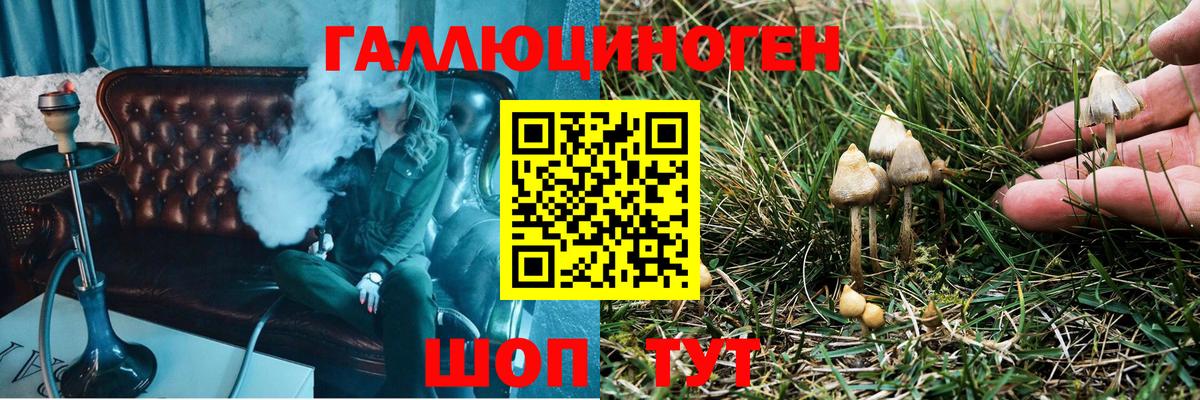 Истра  Галлюциногенные грибы мицелий  Вход с VPN 