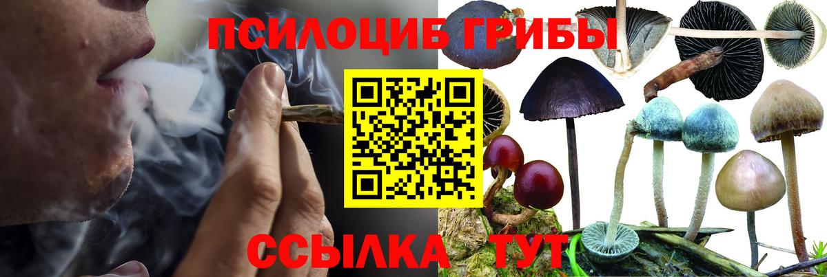 Галлюциногенные грибы GOLDEN TEACHER Истра